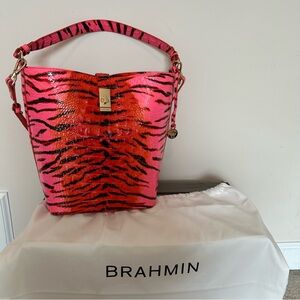 Brahmin Shira Bucket Bag LIMITED EDITION Pink Feline Ombré Melbourne Bag NWOT